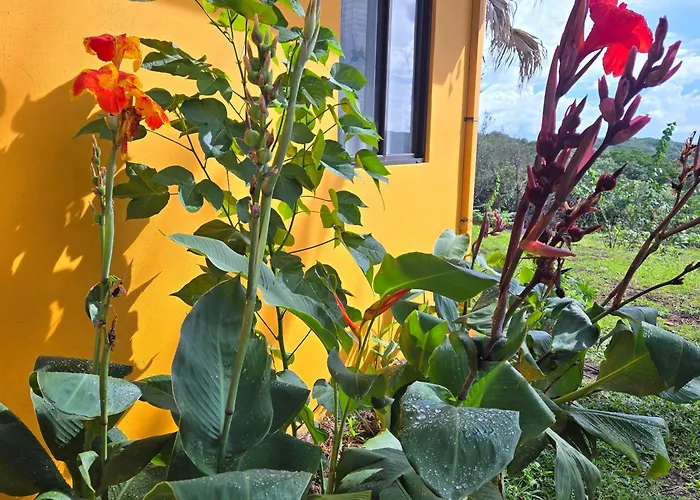 Hacienda En Volcanes 3* Guayabo (Guanacaste)
