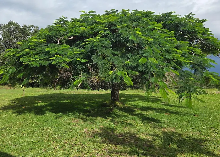 Bed and breakfast Hacienda En Volcanes Guayabo (Guanacaste)