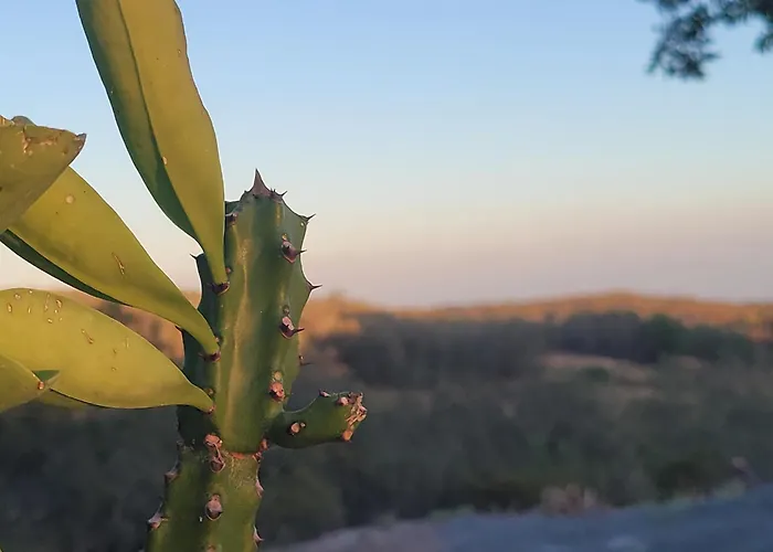 Bed and breakfast Hacienda En Volcanes