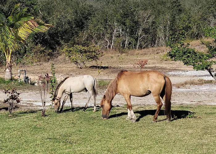 Hacienda En Volcanes