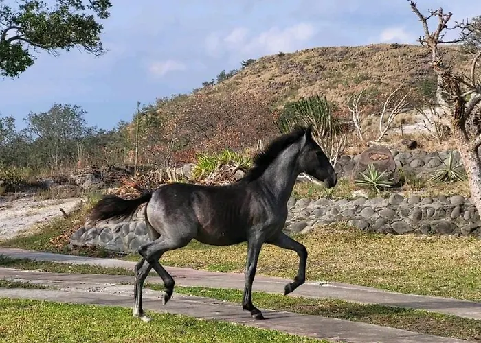 Hacienda En Volcanes