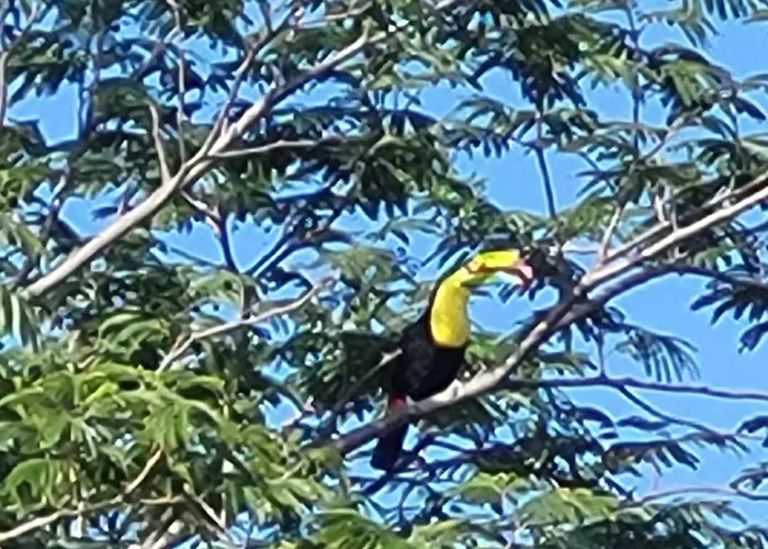Hacienda En Volcanes Bed and breakfast Guayabo (Guanacaste)