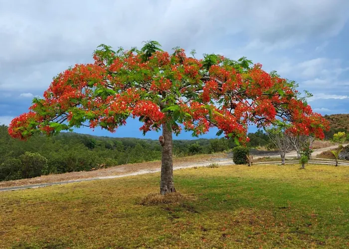 Bed and breakfast Hacienda En Volcanes Guayabo (Guanacaste)